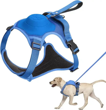 TailWander - Duo Harness & Leash Set