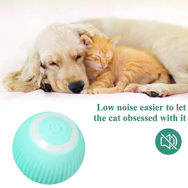 PlayPaws - SmartPlay Electric Ball Toy for Pets