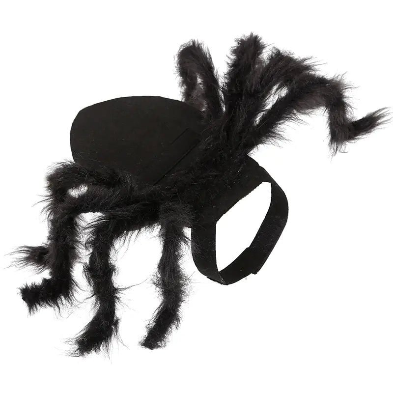 CreepyPaws - Halloween Spider Costume for Pets