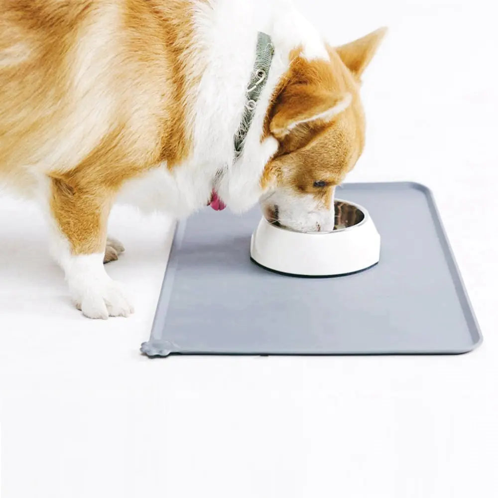 SplashGuard - Silicone Pet Bowl Mat