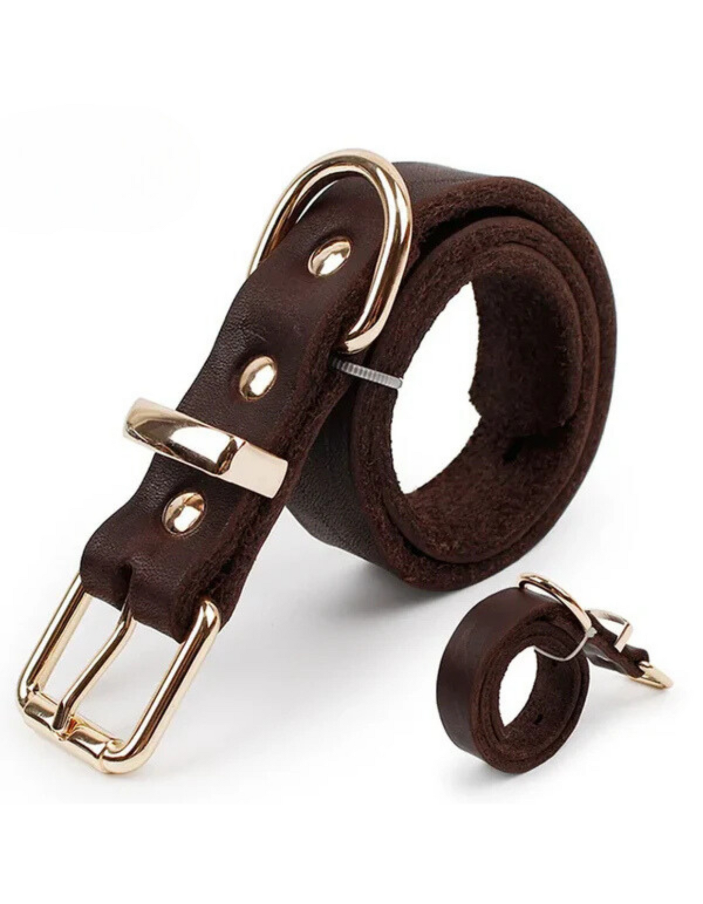 PawLuxe - Leather Dog Collar