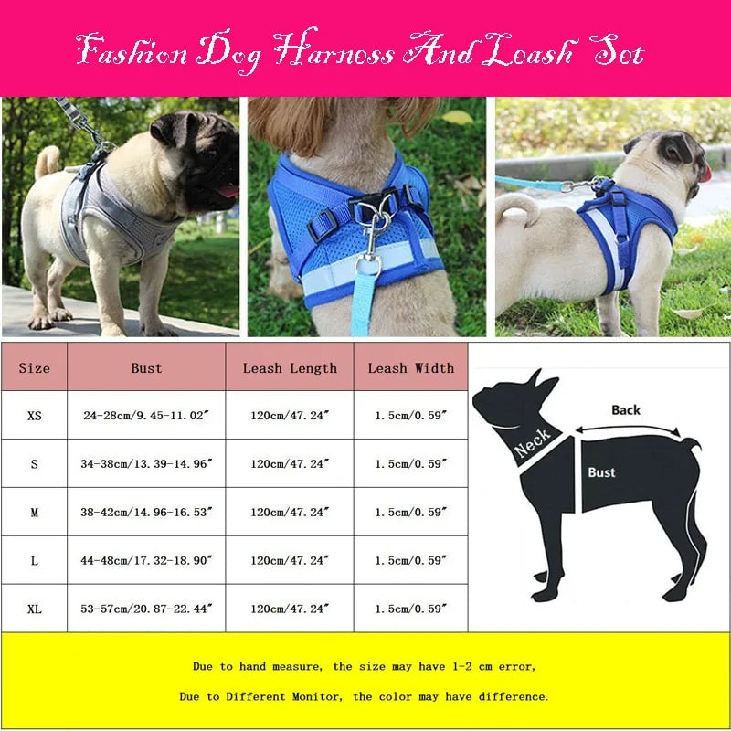 BrightPaw Reflective Harness & Leash Set