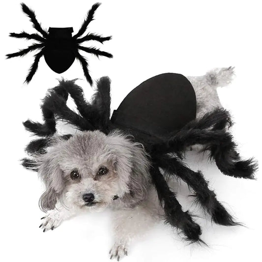 CreepyPaws - Halloween Spider Costume for Pets