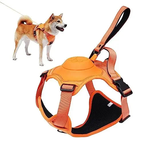 TailWander - Duo Harness & Leash Set