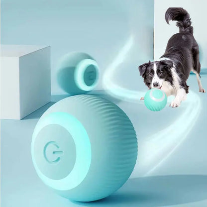 PlayPaws - SmartPlay Electric Ball Toy for Pets