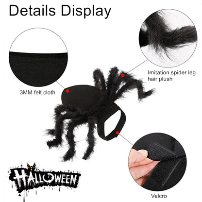 CreepyPaws - Halloween Spider Costume for Pets