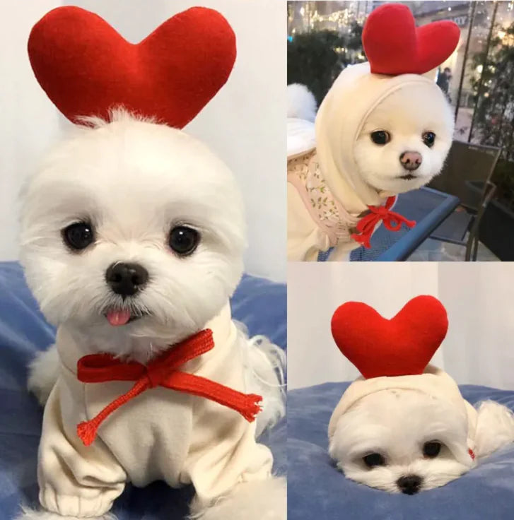 FruitPaws - Cute Fruit Pet Hoodie