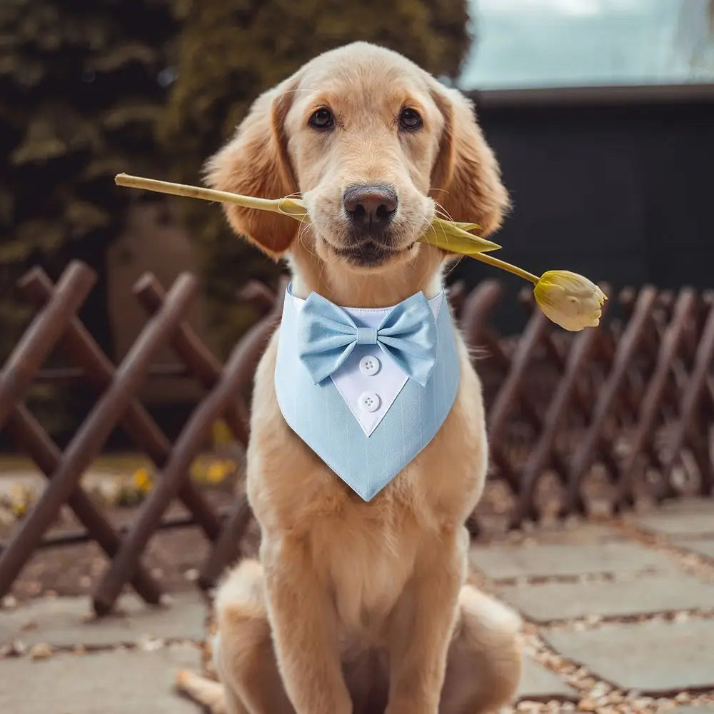 PawElegance - Formal Dog Tuxedo Bow Tie Bandana