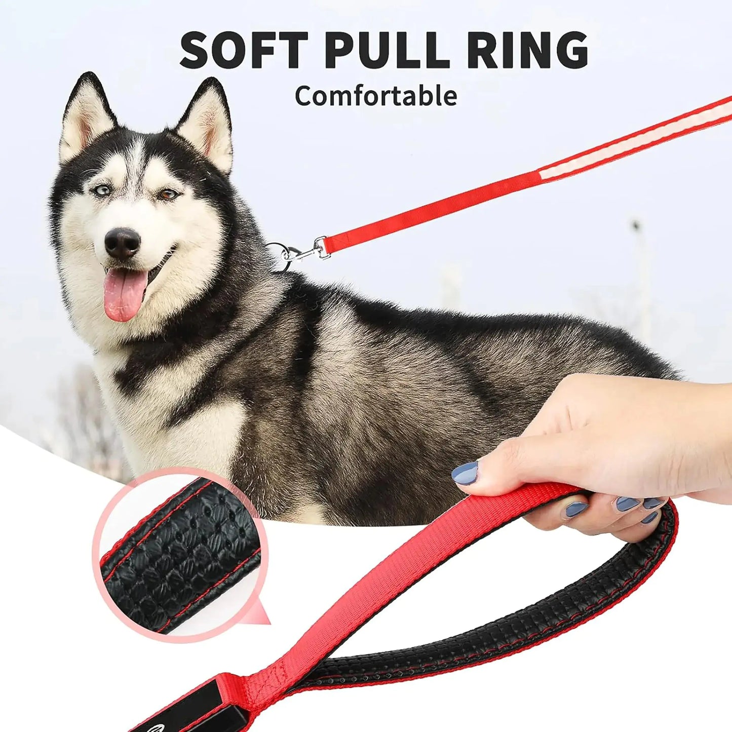 BrightPaws – LED Flashing Waterproof Dog Leash