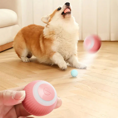 PlayPaws - SmartPlay Electric Ball Toy for Pets