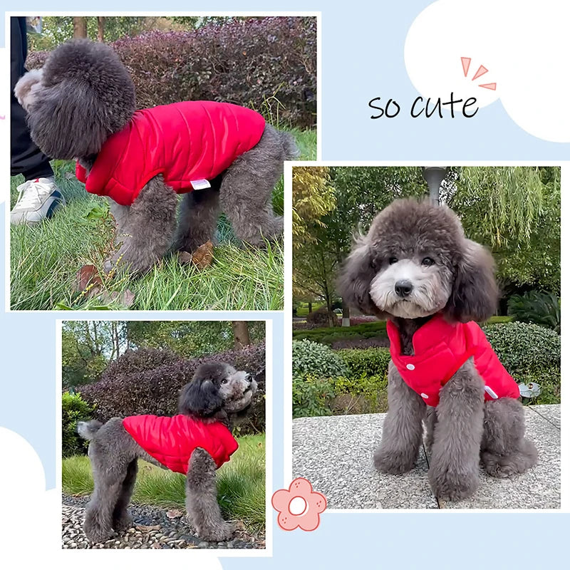 PawChic - Double-Sided Dog Coat