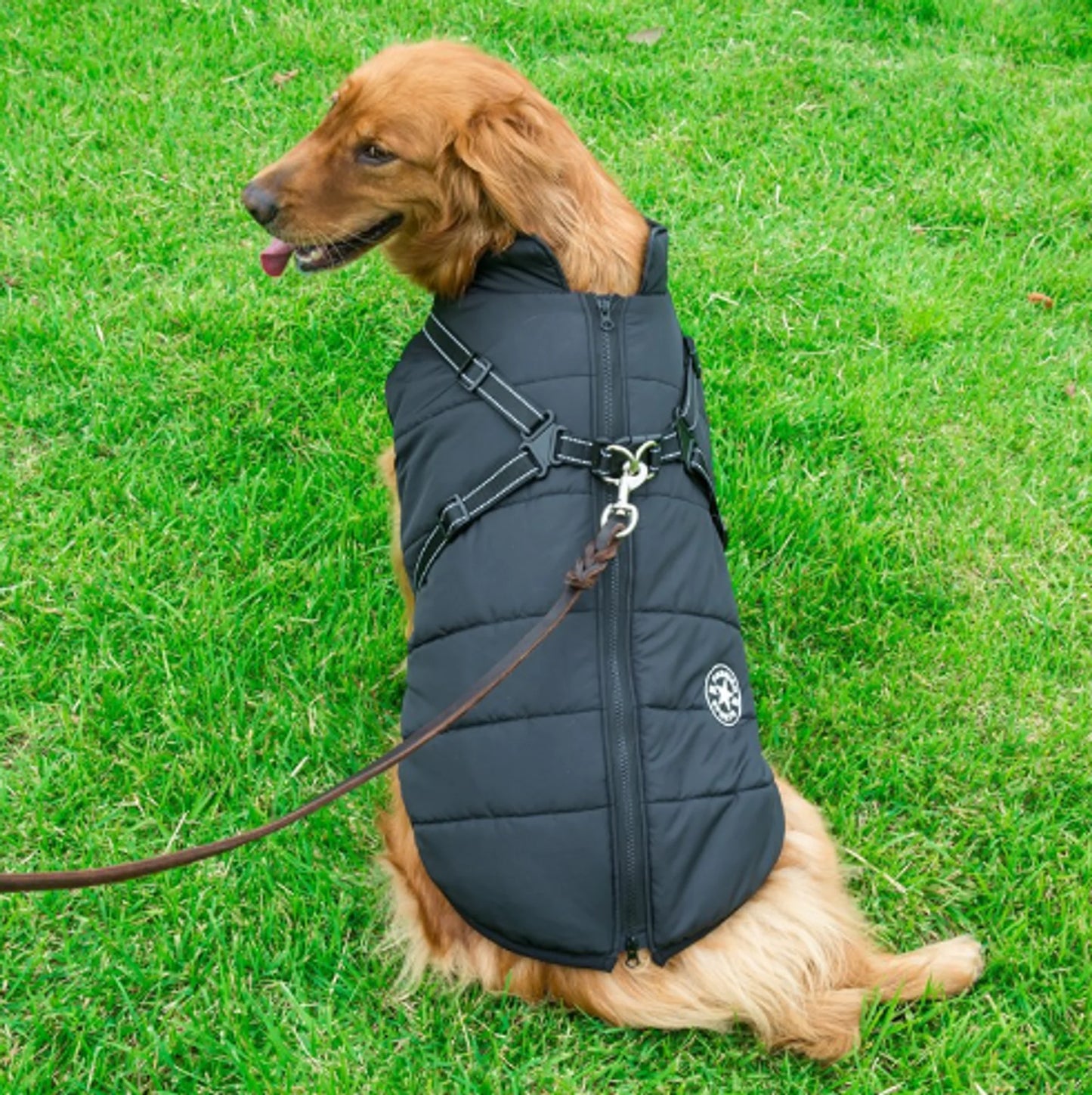 Hometecture Paws – Winter Waterproof Jacket for Dogs