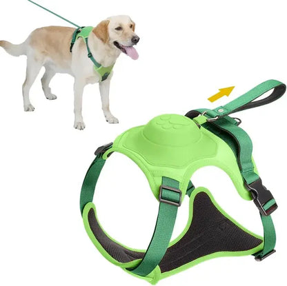 TailWander - Duo Harness & Leash Set