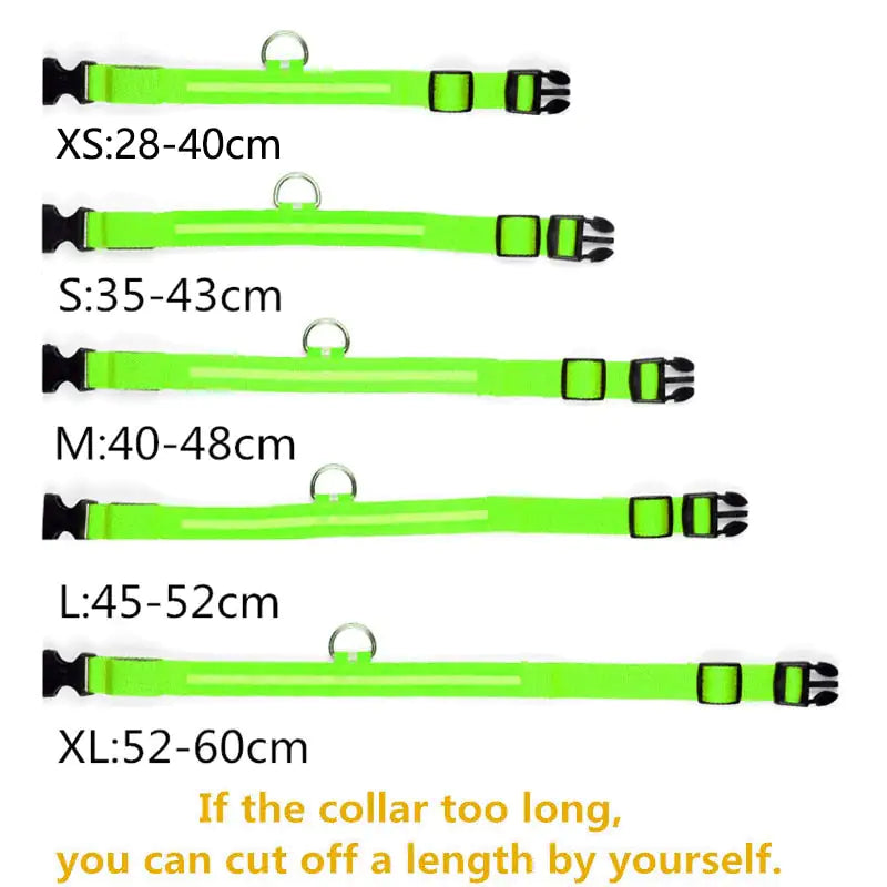 LumiLight - LED Dog Collar