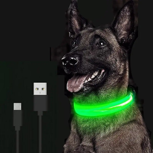 LumiLight - LED Dog Collar