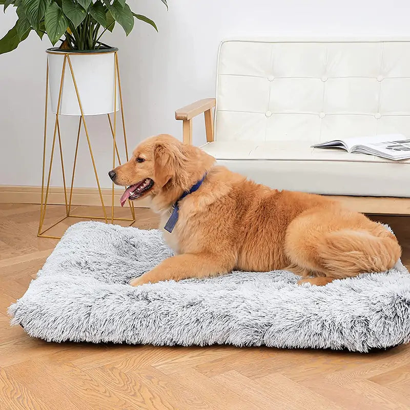 SnuggleNest - Plush Washable Dog Bed