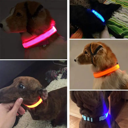 LumiLight - LED Dog Collar