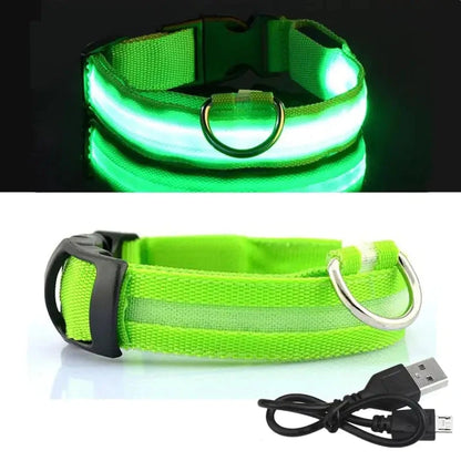 LumiLight - LED Dog Collar